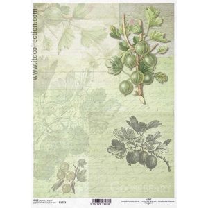Ryžový papier ITD 1255