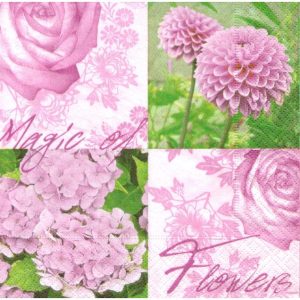 Magic of Flowers