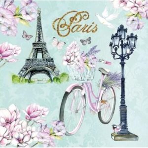 Bike in Paris