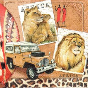Cestovanie po Afrika