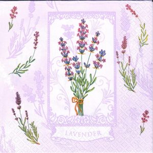 Lavender fialkové