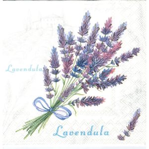 Lavendula a dom