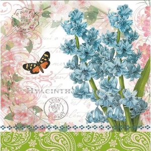 Motýľ pri hyacinte