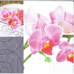 Orchidea a sivo