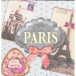 Paris s mašličkou